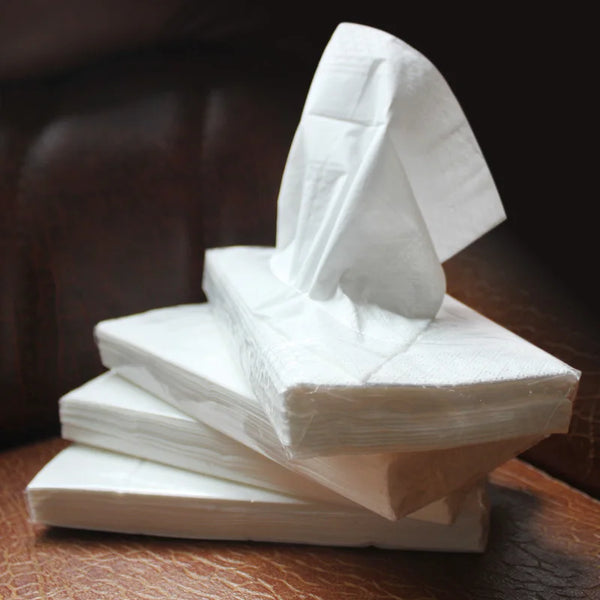 Convenient 4-Pack Car X40 Tissue Set